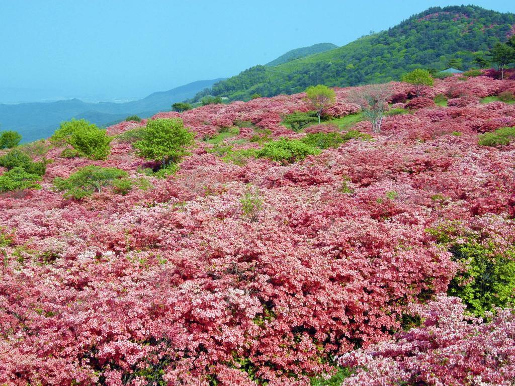 Hotel Pearl City Kesennuma Esterno foto